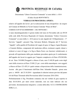 verbale di aggiudicazione - Provincia Regionale di Catania