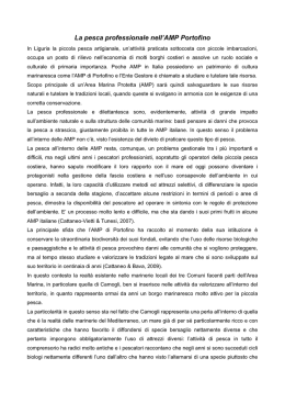 seconda parte - Area Marina Protetta Portofino
