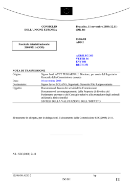 15546/08 ADD 2 bp DG B I CONSIGLIO DELL`UNIONE EUROPEA