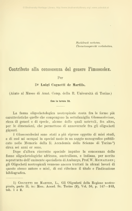 Zoologische Jahrb&uuml;cher