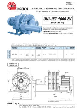 UNI-JET 1000 2V