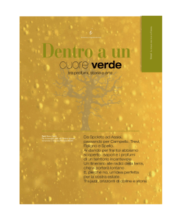 La strada dell`olio in Umbria