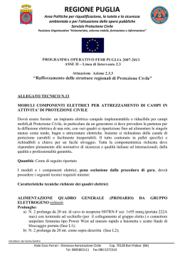 allegato 13_moduli elettrici
