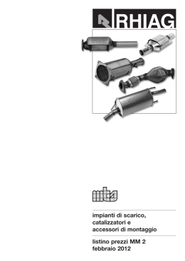 impianti di scarico, catalizzatori e accessori di montaggio