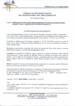 Determina Affidamento n. 67 del 10-11-2014