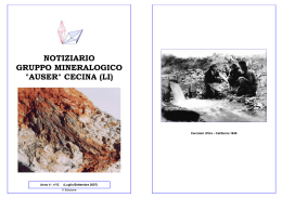 Scarica - Gruppo Mineralogico Auser Cecina