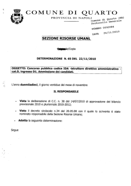 Determinazione n. 65 del 22/11/2010