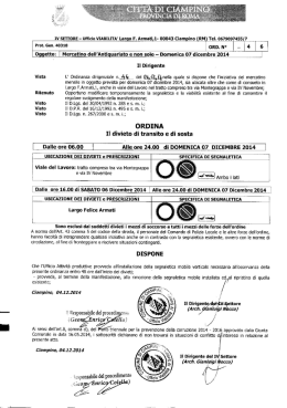 Iv SETTORE - Ufﬁcio VIABILITA` Largo F. Armati,l