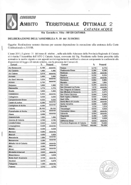 8071.900110 - Ato Acque Catania