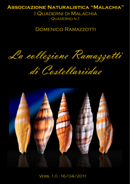 Ramazzotti - La famiglia Costellaridae