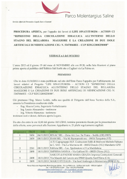 Verbale affidamento provvisorio - Parco Molentargius