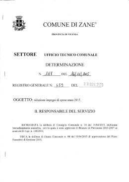 det 459 - Comune di Zanè