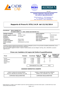 Seagate Crystal Reports - Rappo