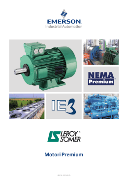 Leroy-Somer Motori Premium - Flyer
