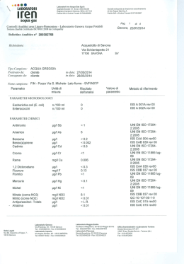 Pozzo Via S. Michele lato fiume