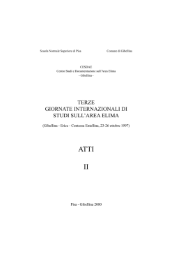 Monte Iato: scavi 1995-1997 - Area