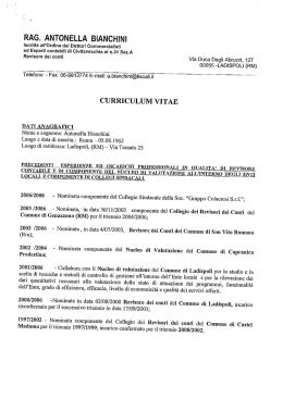 Curriculum vitae - Consiglieri