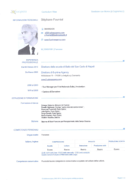 CV - St&eacute;phane Fournial