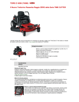 TORO Z 4200 (74380)