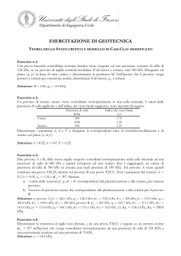 Stato critico