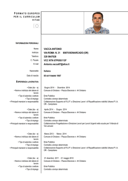 Curriculum Antonio Vacca