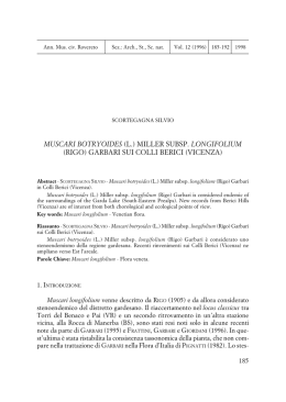 miller subsp. longifolium (rigo) garbari sui colli berici