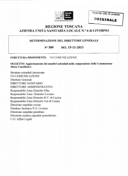 Determinazione 509/2013 - USL 6
