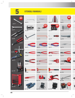 Scarica il pdf del capitolo