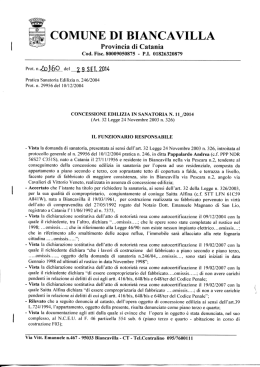 Pratica edilizia in san. n. 246/2004 Pappalardo Andrea