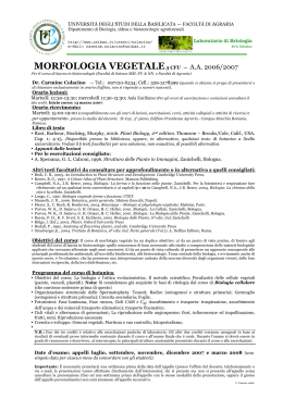 MORFOLOGIA VEGETALE3 CFU — A.A. 2006/2007