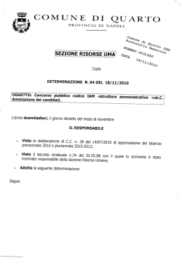 Determinazione n. 64 del 18/11/2010