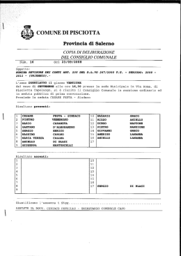 Revisore dei Conti - Comune di Pisciotta