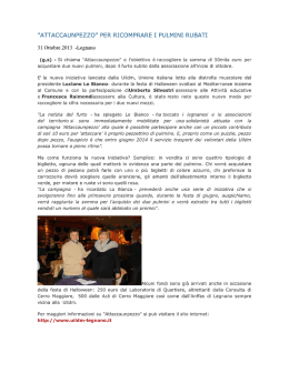 "ATTACCAUNPEZZO" PER RICOMPRARE I PULMINI