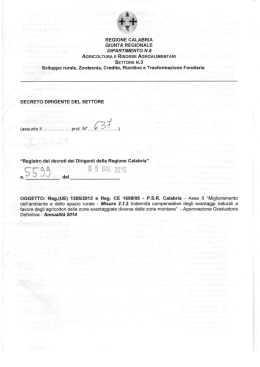 Decreto n.5599