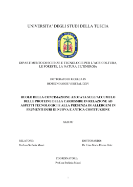 tesi senza riassunto x rettorato