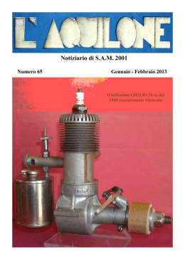 Notiziario di S.A.M. 2001