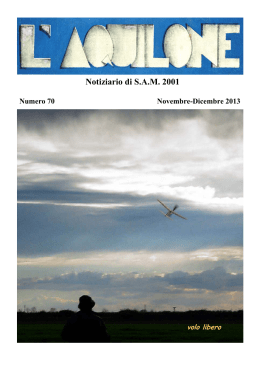Notiziario di S.A.M. 2001