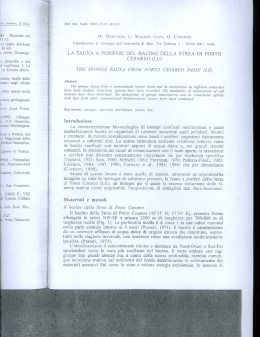Mercurio et al. 2001