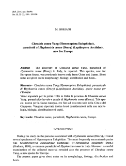 M. BORIANI Chouioia cunea Yang (Hymenoptera Eulophidae),