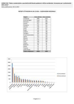 Imagine S.r.l. REPORT ATTIVAZIONI AL 04.12.2014