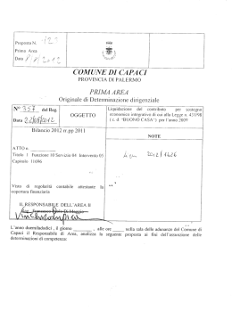 determina dirigenziale n 357 2012