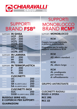 Supporti FSB e monoblocco RCM