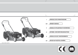 scarica pdf