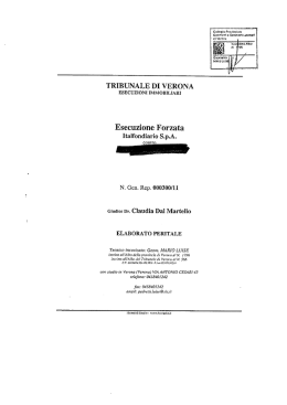 TRIBUNALE DI VERONA