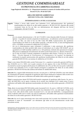Determinazione n. 197 del 11.07.2014