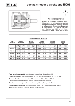 Sezione BQ05 - B&C &ndash; Vane Pumps Pompe a Palette