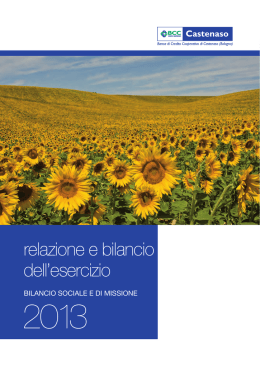 Relazione di Bilancio 2013 (pdf – 5 Mb)