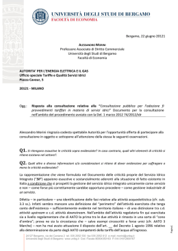 Universit&agrave; degli Studi di Bergamo - Autorit&agrave; per l`energia elettrica e il
