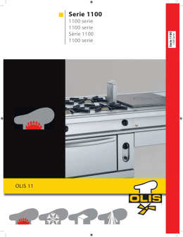 Serie 1100