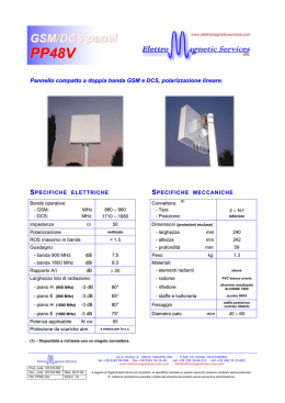 GSM/DCS panel PP48V - ElettroMagnetic Services